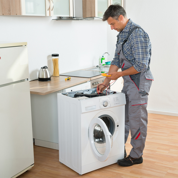 what are common issues that can arise with a washer in Martha Lake Washington